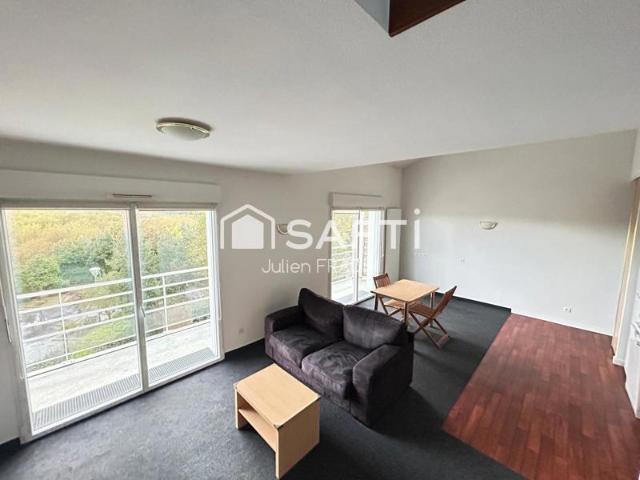 SPÉCIAL Investisseur La Haie Fouassière Grand appartement T2