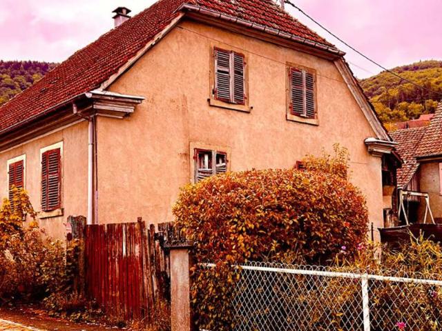 Spécial investisseurs, Saint Amarin 68550, 7 pièces, 155 m2, terrain 5,8 ares