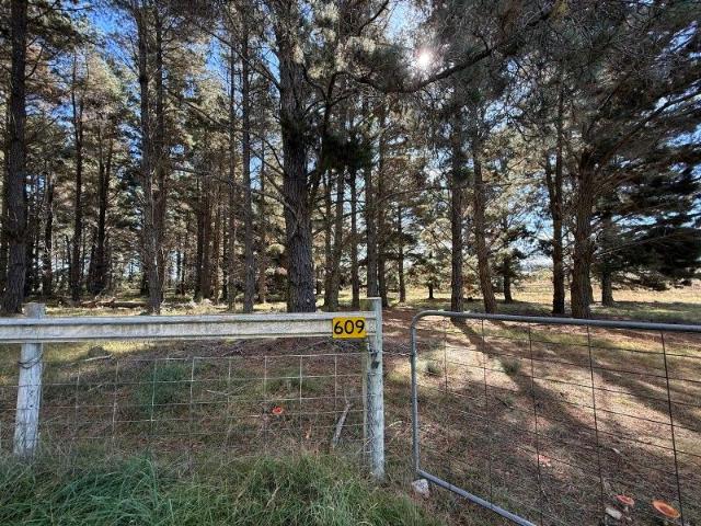 110 Acres | Running Creek, Dwelling Entitlement, Power, Views