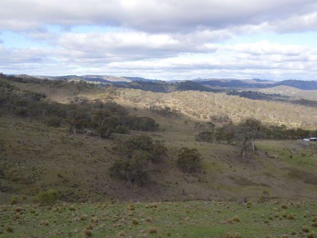 SPECTACULAR VIEWS