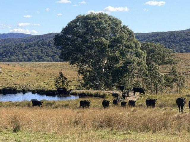 Spectacular views: Large weekender: Run Stock