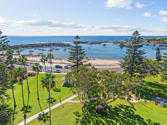 Spectacular Harbour Views