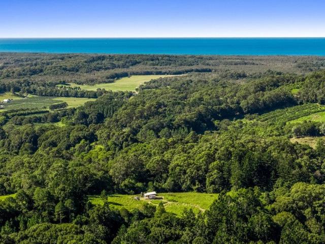 Spectacular Hinterland Acreage with Exceptional Building Potential