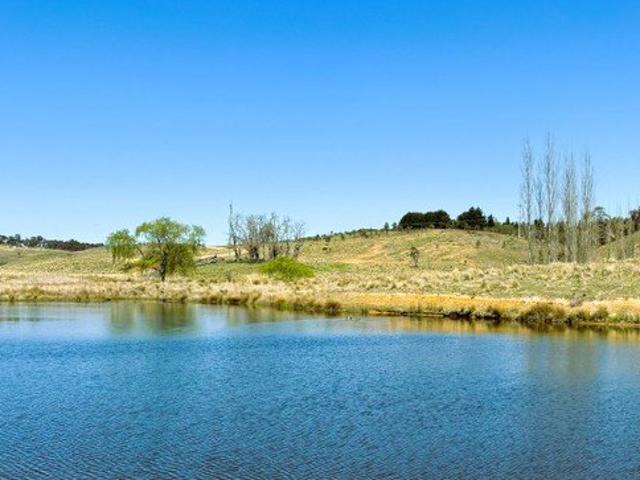 Spectacular Lifestyle Block 28 Acres with large dam