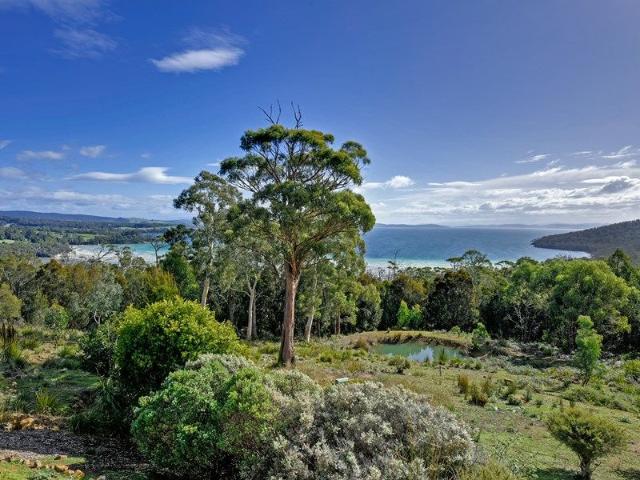 Spectacular Lifestyle Property with Income Options
