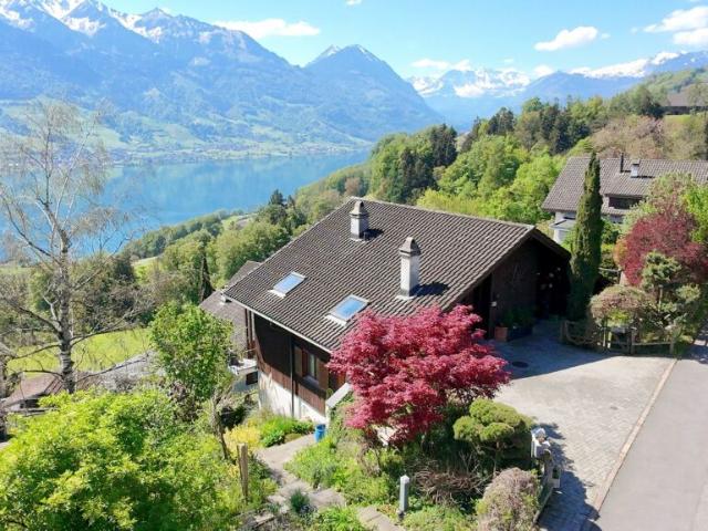 Spektakulär wohnen! Weitsicht vom Brünig bis zum Pilatus