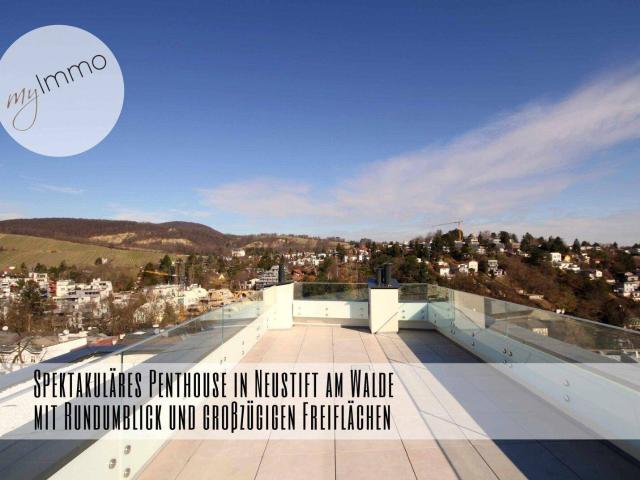 Spektakuläres Penthouse in Neustift am Walde mit Rundumblick und großzügigen Freiflächen