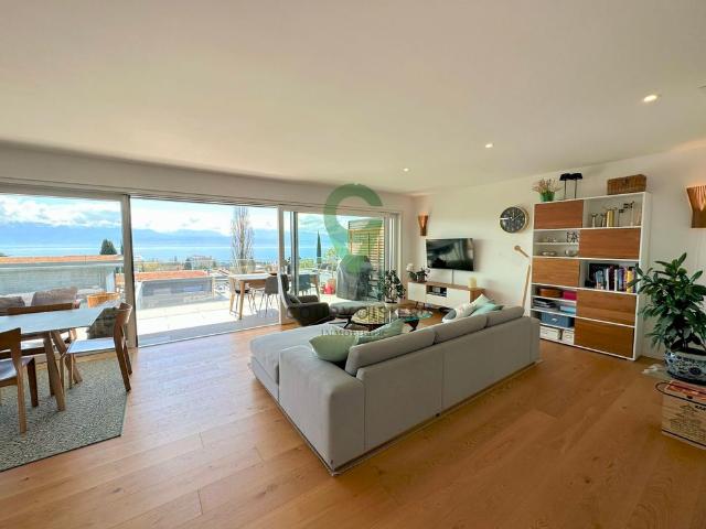 Splendid 4.5 room duplex with panoramic view of the lake