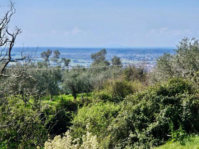 Splendido Casale con vigneto vista mare 580m² San Giuliano Terme