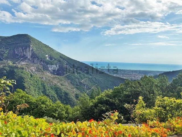 Splendido Casolare Toscano con Vigneto, Uliveto e Vista Mare. 273m² Seravezza