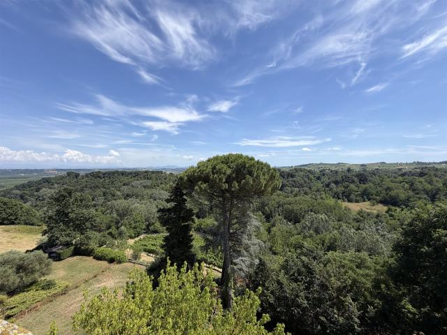 Splendido esempio di villa Liberty tra le colline dell’Acque. 500m² Acqui Terme