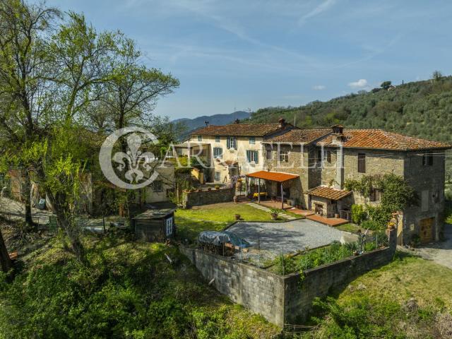 Borgo in pietra con oliveto in vendita sulle colline di Lucc. 550m² Lucca