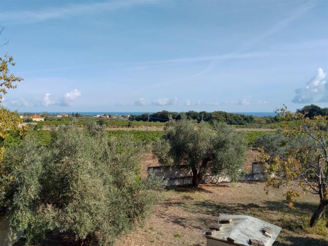 Splendida villa verde circondata 500m² Villalfonsina