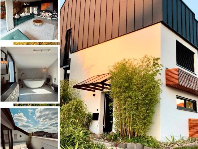 Split Level Architektenhaus im Loft Stil DH Saarlouis Steinrausch