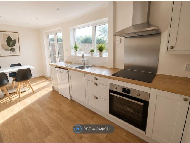 Spruce Avenue, Colchester CO4, 3 bed semi detached house to rent, £1,400 pcm | PrimeLocation