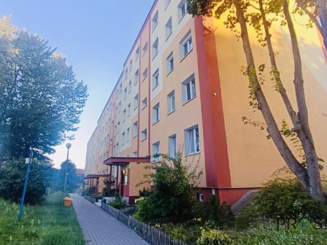 Przestronne 4 pokojowe mieszkanie z dużym potencjałem blisko centrum