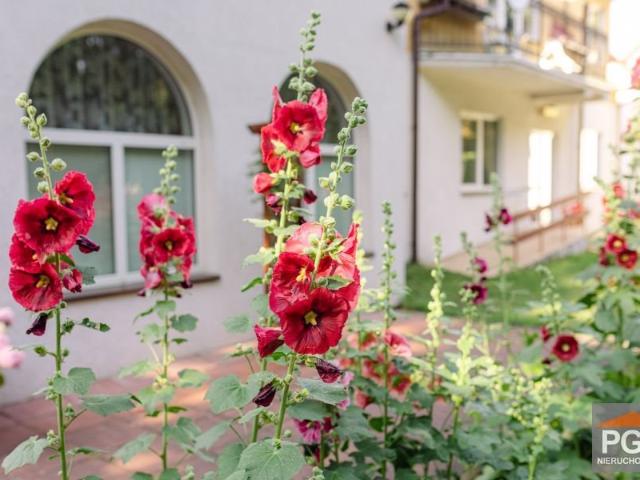 Sprzedam przestronne domy w Pobierowie 517 m² blisko plaży
