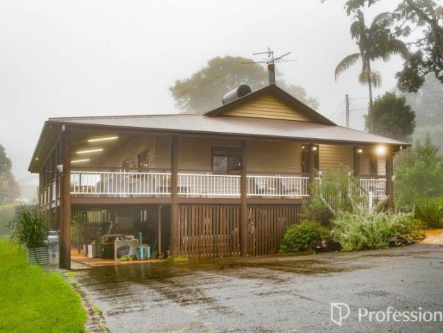Sprawling Queenslander on a Beautiful Fruit Filled Block