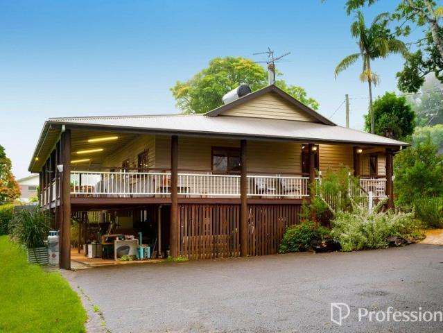Sprawling Queenslander on a Beautiful Fruit Filled Block