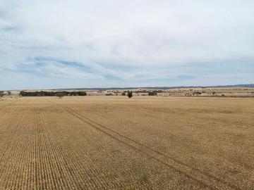 Caltowie West, Wandearah East