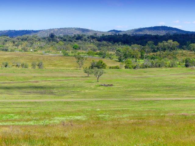 SPRING CREEK HOLLOW