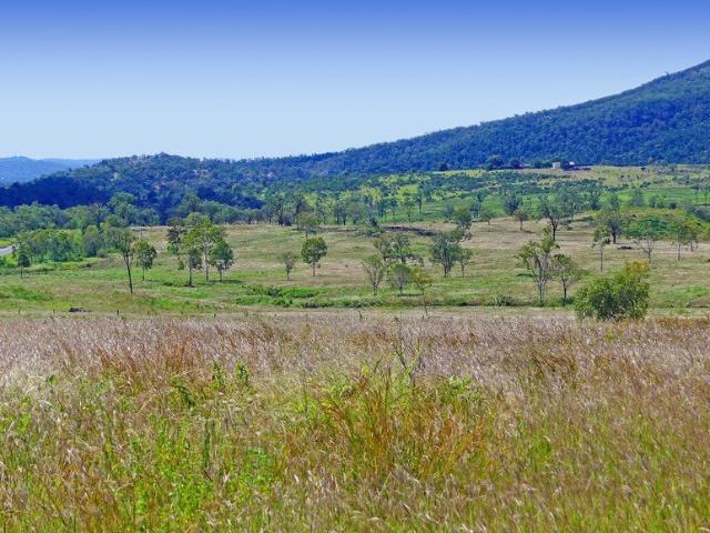 SPRING CREEK RIDGE