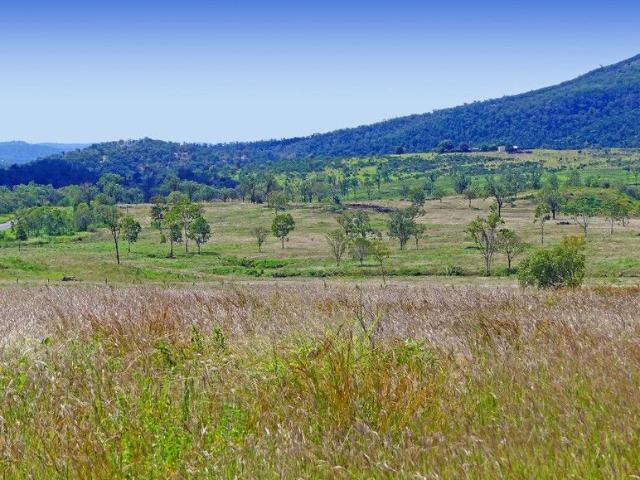 SPRING CREEK RIDGE