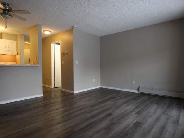 Spring Garden Terrace — Bachelor