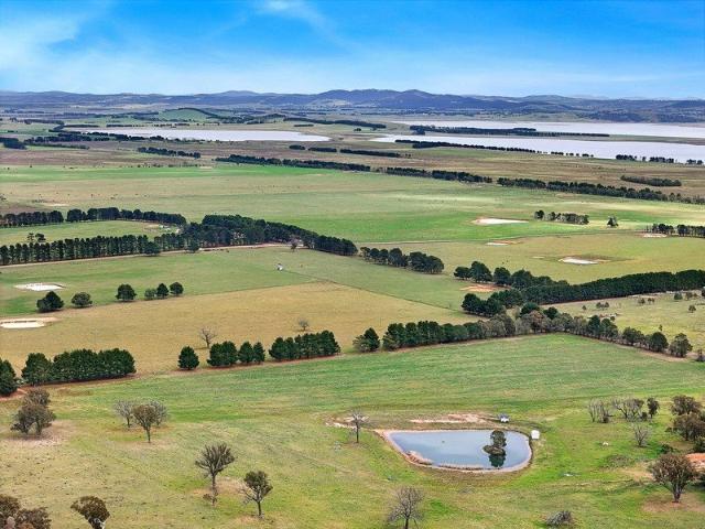 Spring Hill