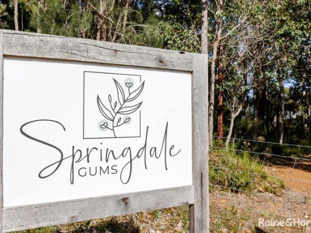 Springdale Gums