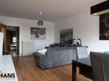 2150, Borsbeek, Province de Anvers, Flandre