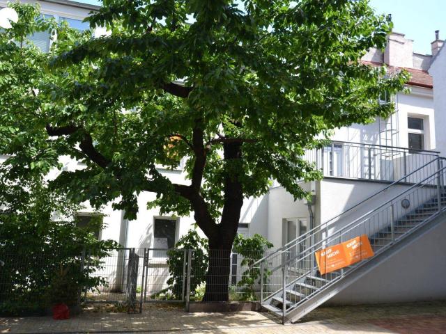 #SQ RUHEOASE IM INNENHOF: SCHÖNE MAISONETTEWOHNUNG MIT TOWNHOUSE CHARME!