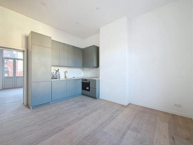 Square Marie Louise / Ambiorix: apartment with terrace