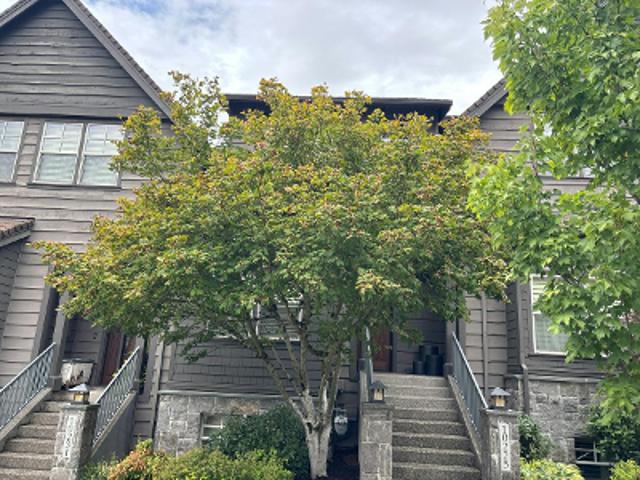 SW Taylor St