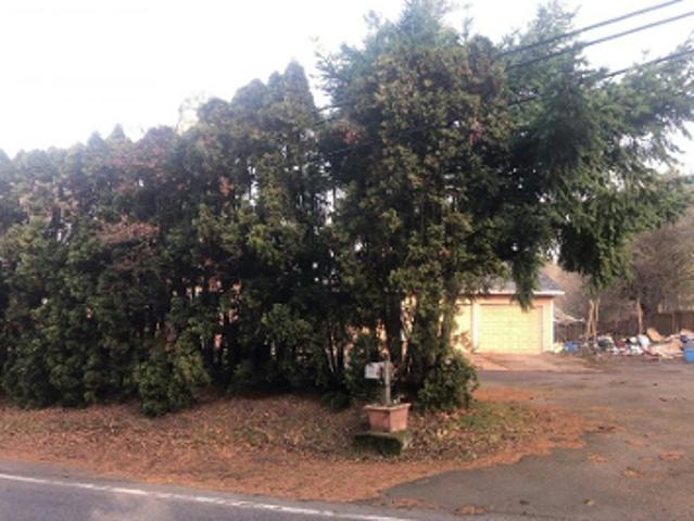 SW Taylors Ferry Rd