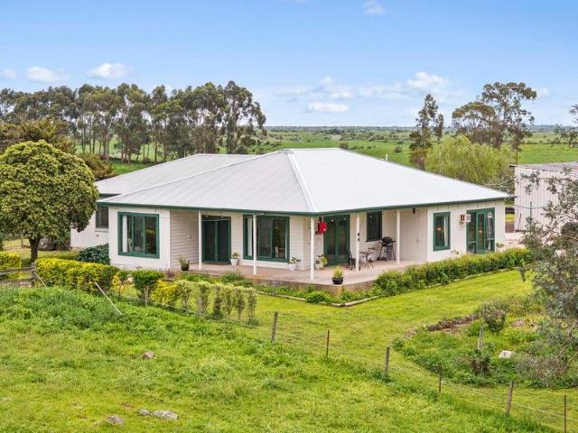 'Swetham' Horses, Cattle and an Abundance of Accommodation