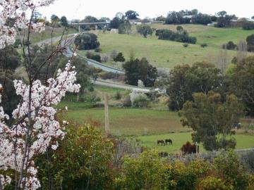 Sweeping Views, Serenity & Town side Convenience!