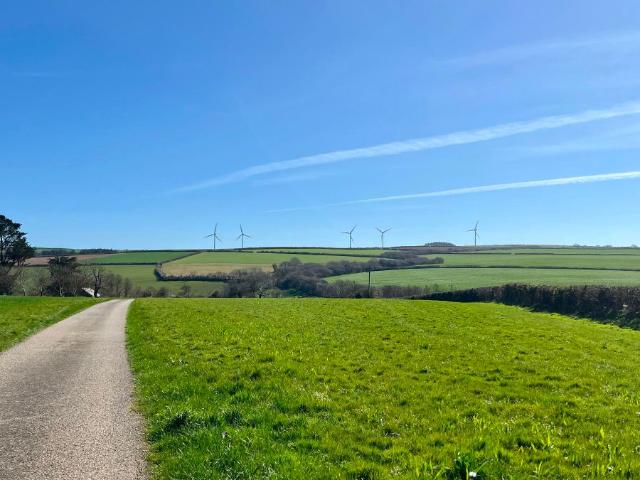 St. Breock, Wadebridge PL27, 3 bed detached bungalow to rent, £2,000 pcm | PrimeLocation