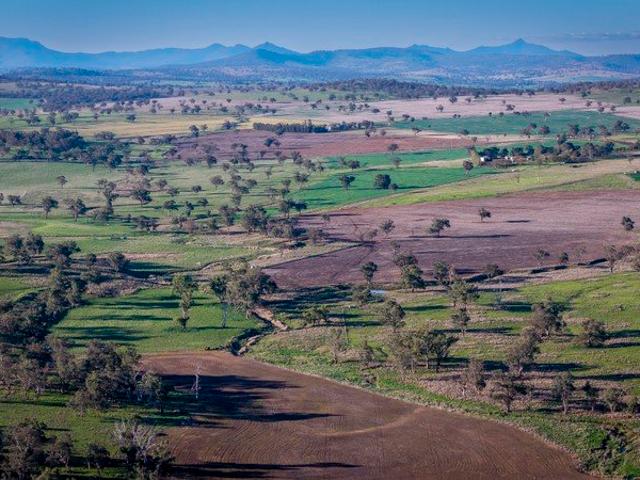'St. Eloi' Postcard country with highly productive DNA