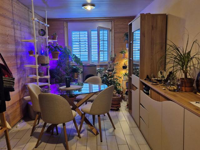 ST GINGOLPH BEL APPARTEMENT A LOUER