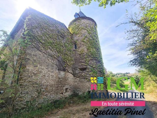 Magnifique Château avec une superbe vue