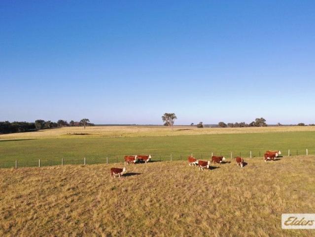 $4500 per ACRE
