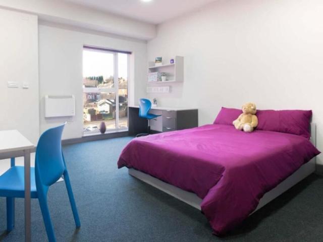 Stoke Student Village, Shared Flat ST4 Studio to rent £390 pcm £90 pw