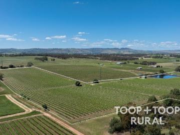 Nuriootpa, Barossa County, South Australia