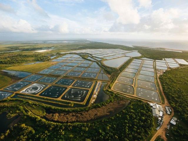 STATE OF THE ART AQUACULTURE OPPORTUNITY