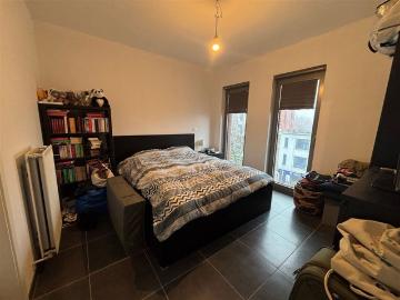 2640, Arrondissement de Anvers, Province de Anvers, Flandre