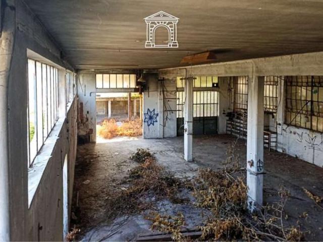 Stabile Palazzo in vendita a Trieste