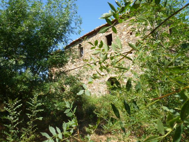 Stabile/Palazzo in vendita a Arcidosso