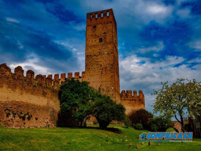 Stabile/Palazzo in vendita a Montagnana