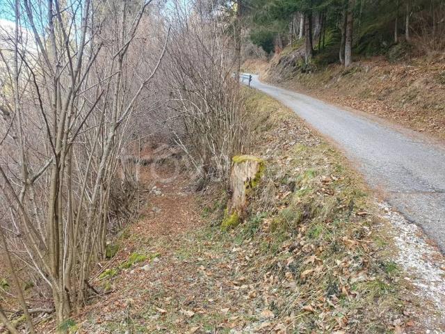 Stabile/palazzo in vendita a Primiero San Martino di Castrozza via Civerza No Number